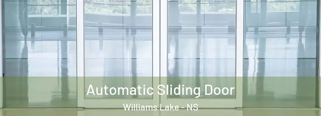 Automatic Sliding Door Williams Lake - NS