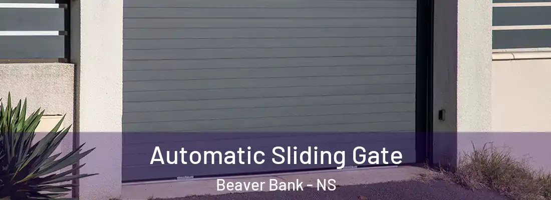  Automatic Sliding Gate Beaver Bank - NS