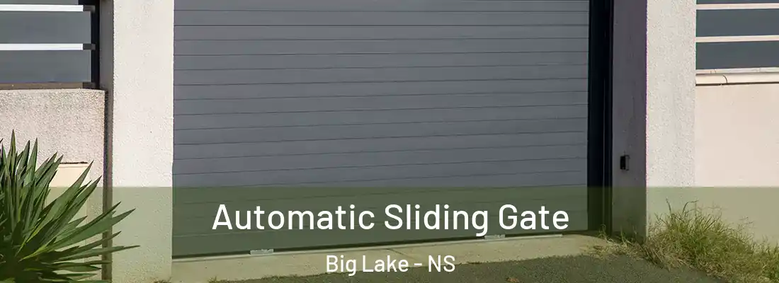 Automatic Sliding Gate Big Lake - NS