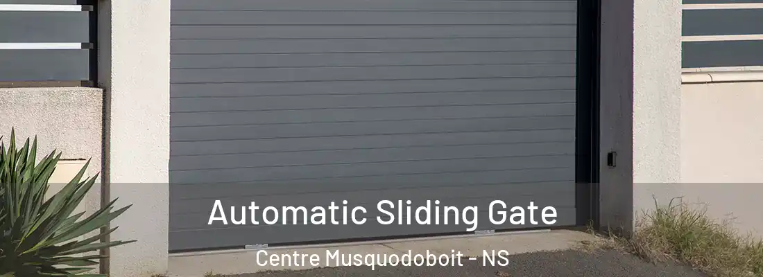 Automatic Sliding Gate Centre Musquodoboit - NS