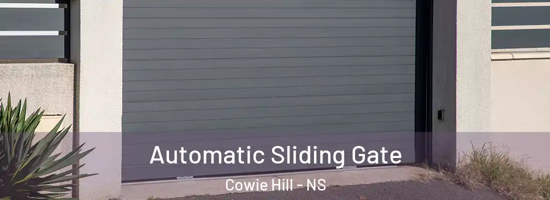 Automatic Sliding Gate Cowie Hill - NS
