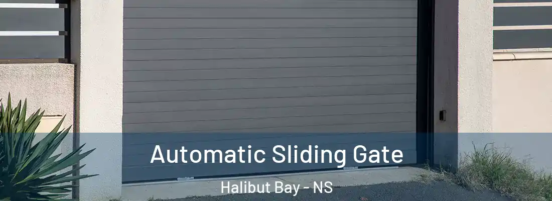 Automatic Sliding Gate Halibut Bay - NS