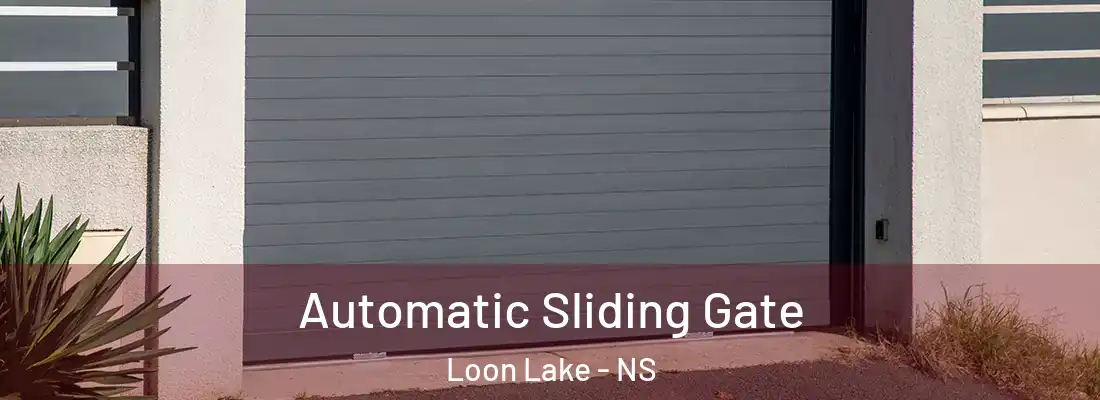 Automatic Sliding Gate Loon Lake - NS