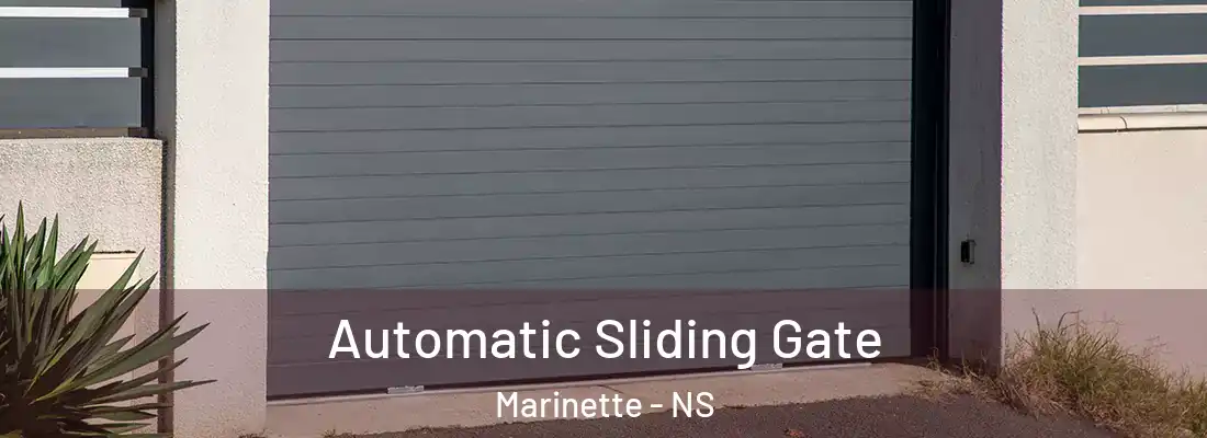 Automatic Sliding Gate Marinette - NS