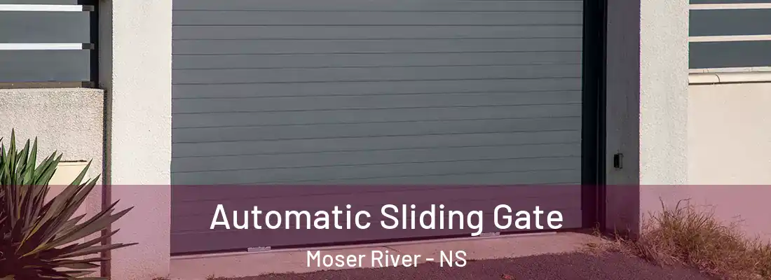 Automatic Sliding Gate Moser River - NS