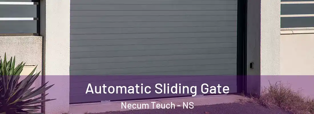 Automatic Sliding Gate Necum Teuch - NS