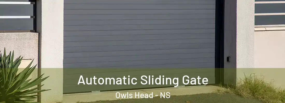 Automatic Sliding Gate Owls Head - NS