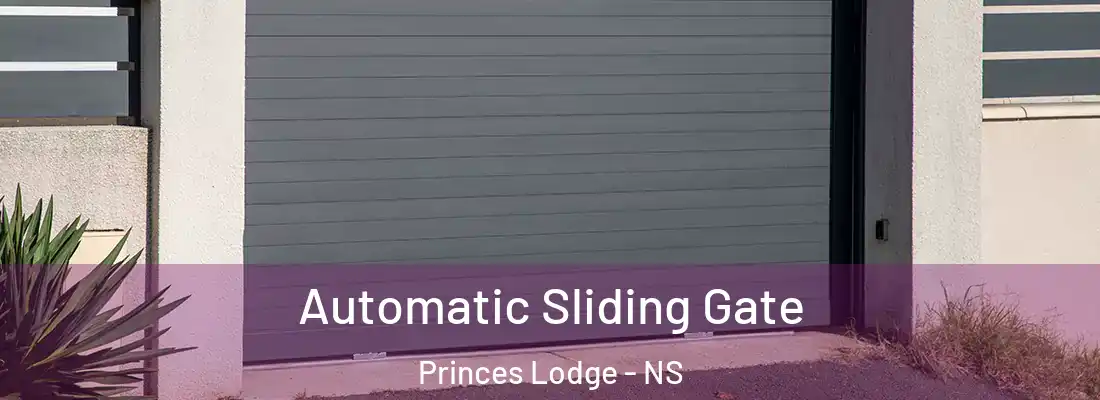 Automatic Sliding Gate Princes Lodge - NS