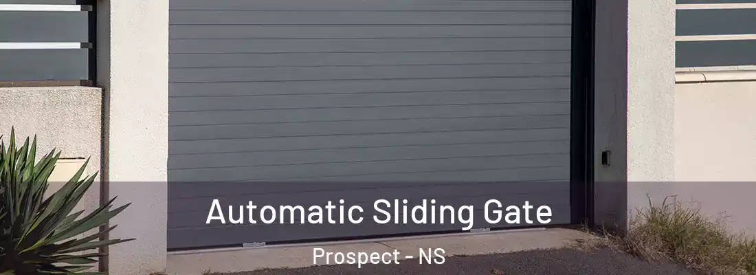 Automatic Sliding Gate Prospect - NS