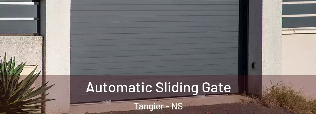 Automatic Sliding Gate Tangier - NS
