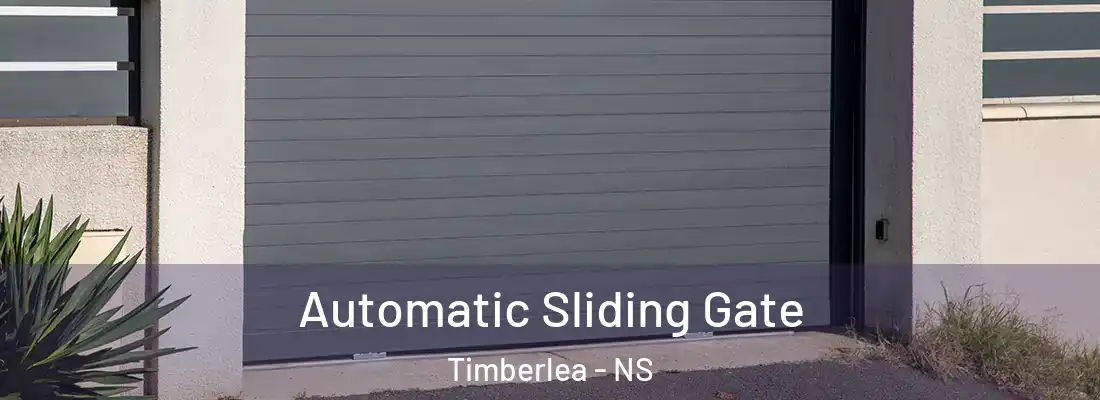 Automatic Sliding Gate Timberlea - NS