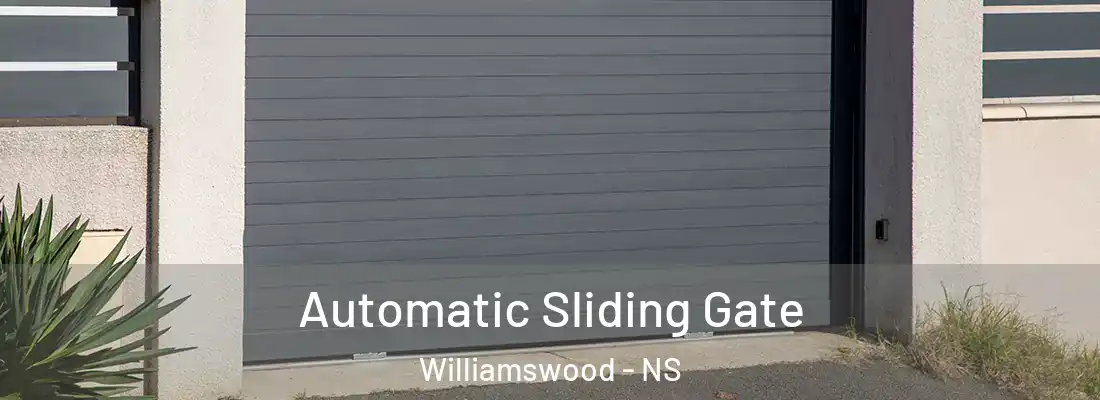 Automatic Sliding Gate Williamswood - NS