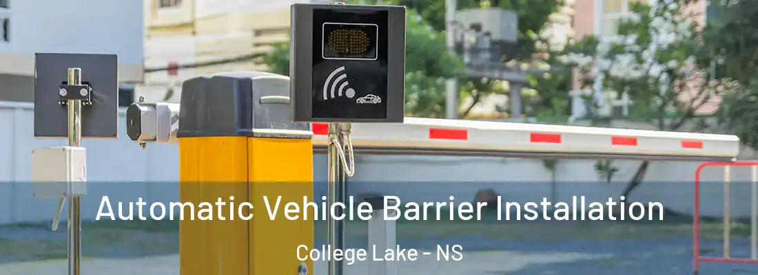 Automatic Vehicle Barrier Installation College Lake - NS