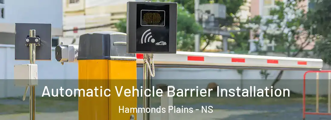 Automatic Vehicle Barrier Installation Hammonds Plains - NS