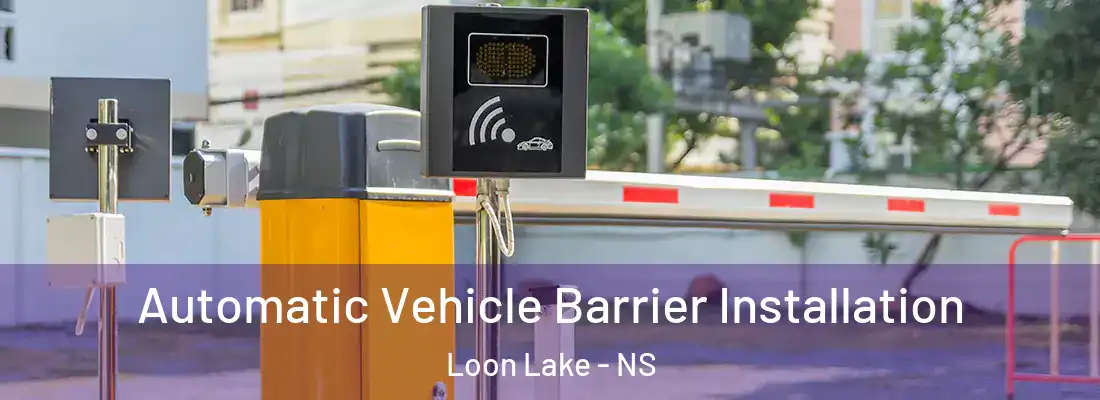  Automatic Vehicle Barrier Installation Loon Lake - NS