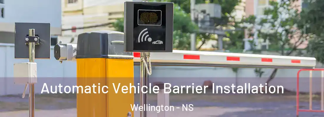Automatic Vehicle Barrier Installation Wellington - NS