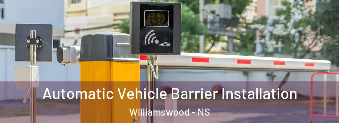  Automatic Vehicle Barrier Installation Williamswood - NS