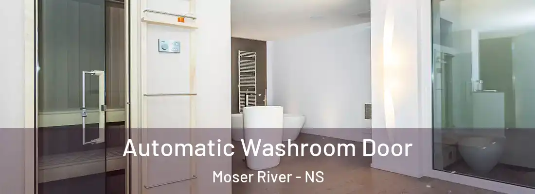 Automatic Washroom Door Moser River - NS