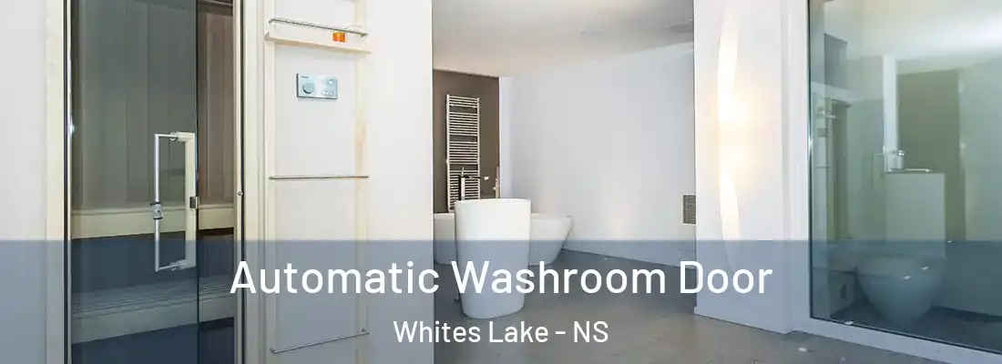 Automatic Washroom Door Whites Lake - NS