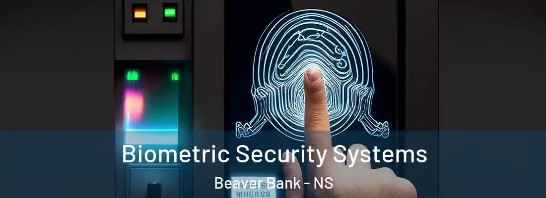 Biometric Security Systems Beaver Bank - NS