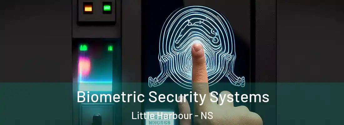 Biometric Security Systems Little Harbour - NS