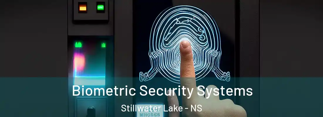  Biometric Security Systems Stillwater Lake - NS