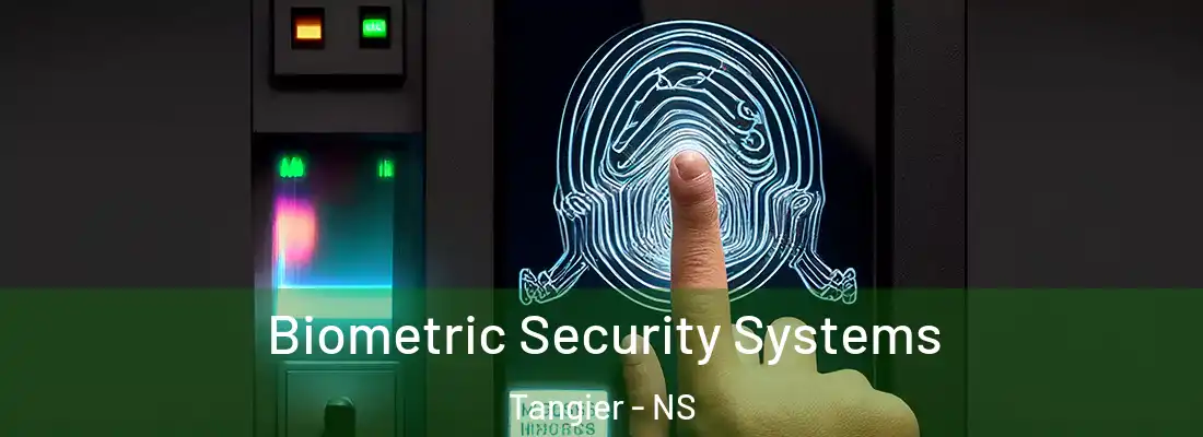 Biometric Security Systems Tangier - NS