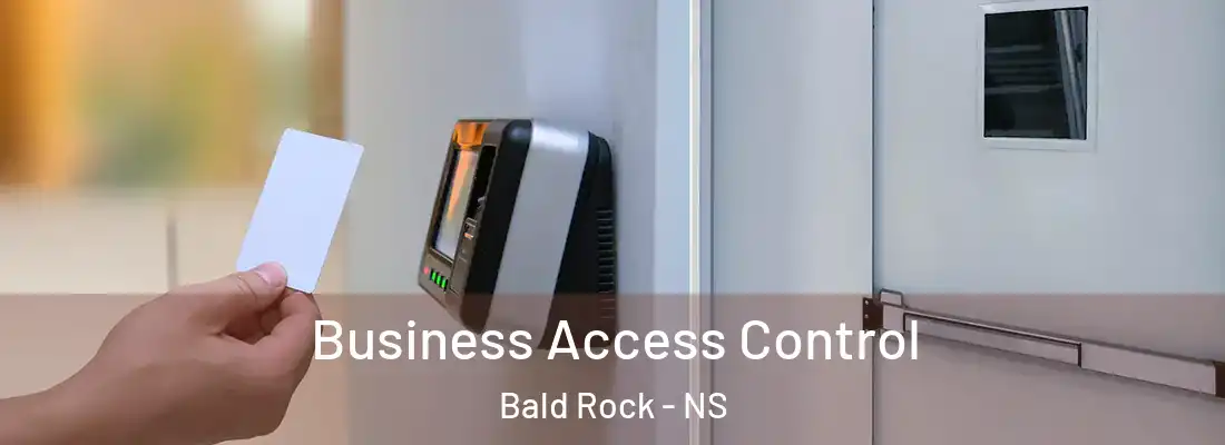 Business Access Control Bald Rock - NS