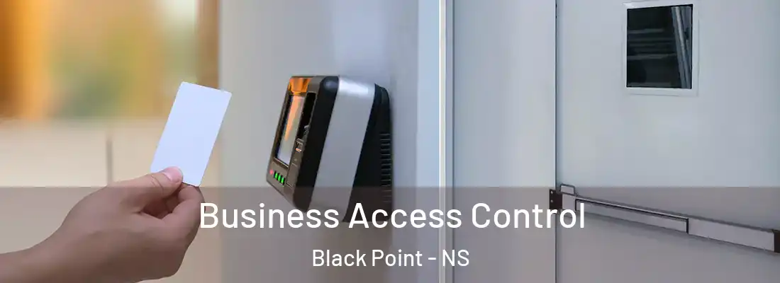 Business Access Control Black Point - NS