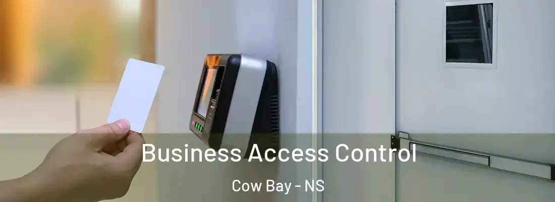  Business Access Control Cow Bay - NS
