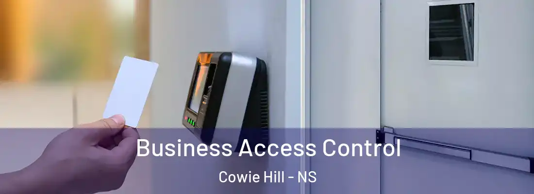 Business Access Control Cowie Hill - NS