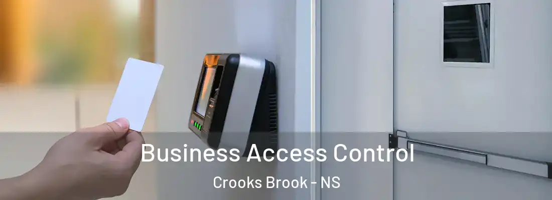 Business Access Control Crooks Brook - NS