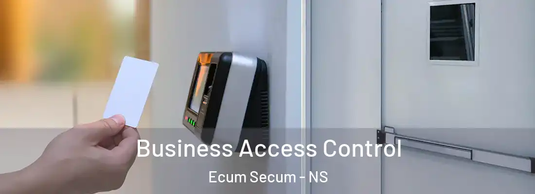 Business Access Control Ecum Secum - NS