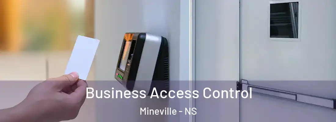 Business Access Control Mineville - NS