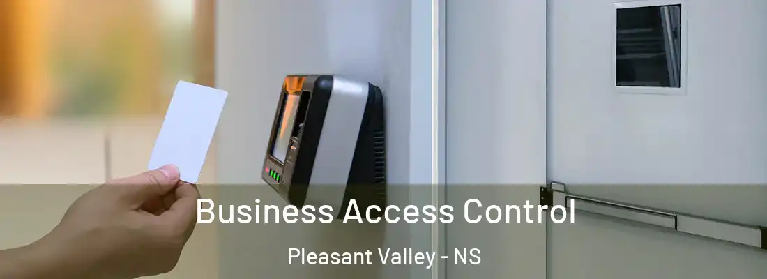 Business Access Control Pleasant Valley - NS