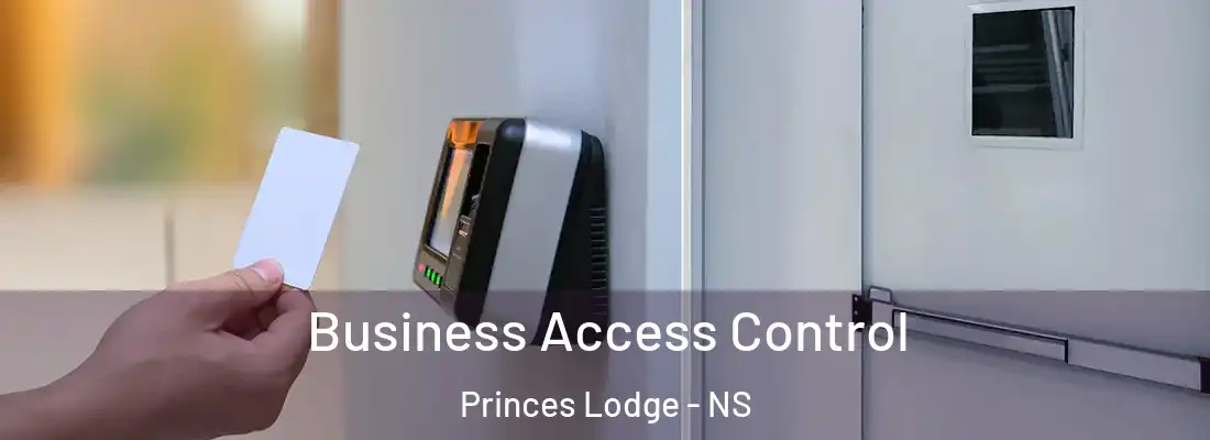 Business Access Control Princes Lodge - NS