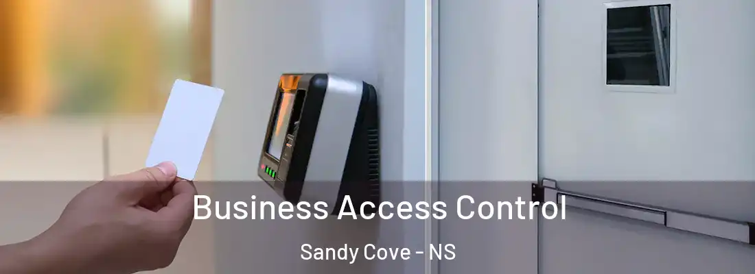 Business Access Control Sandy Cove - NS