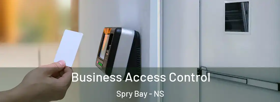 Business Access Control Spry Bay - NS