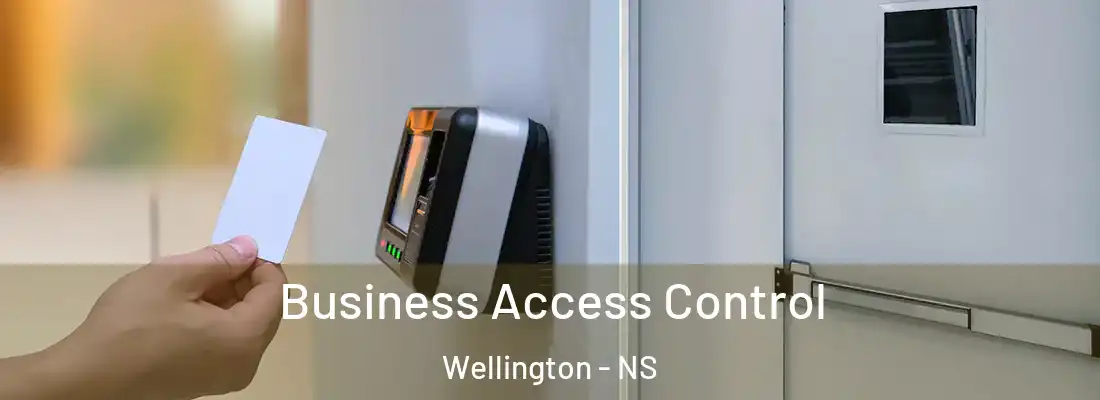 Business Access Control Wellington - NS