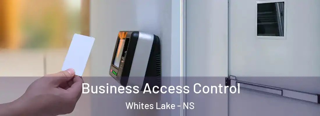Business Access Control Whites Lake - NS