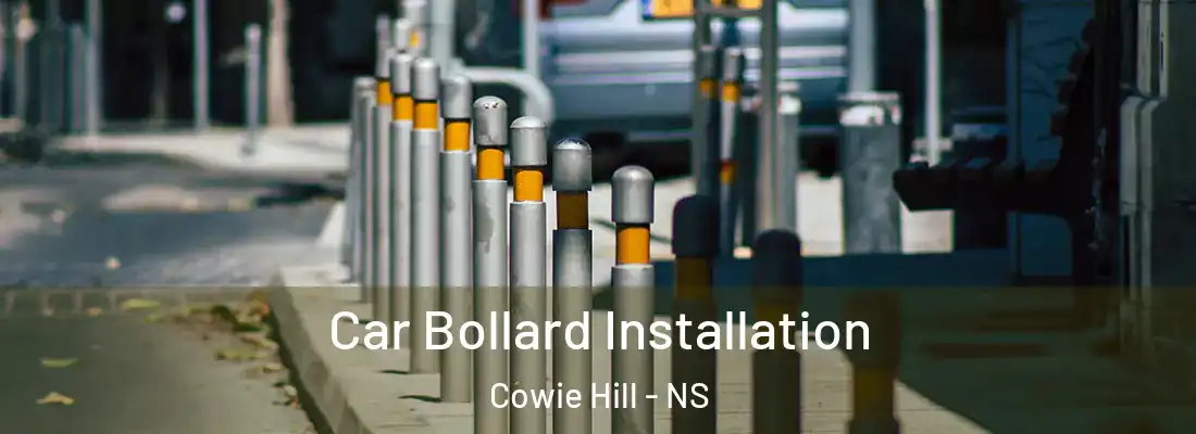 Car Bollard Installation Cowie Hill - NS