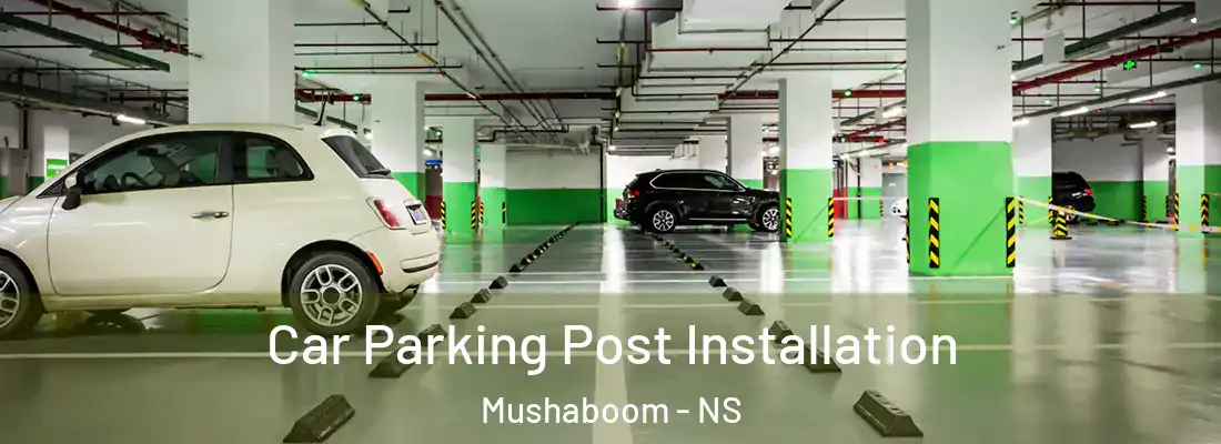 Car Parking Post Installation Mushaboom - NS