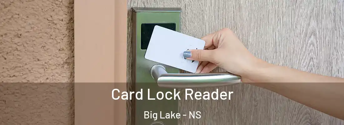 Card Lock Reader Big Lake - NS
