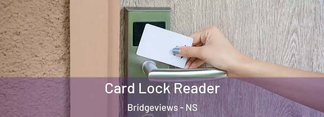 Card Lock Reader Bridgeviews - NS