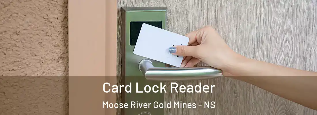 Card Lock Reader Moose River Gold Mines - NS