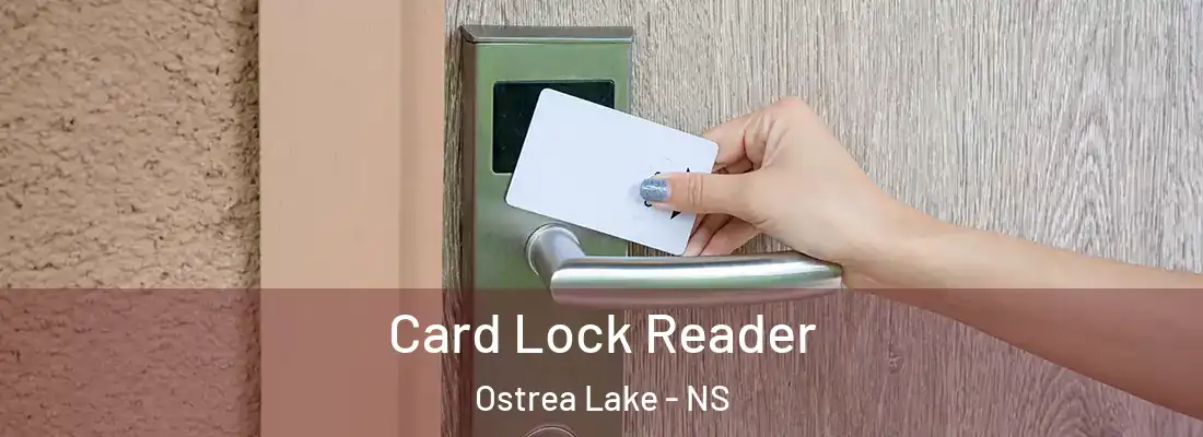 Card Lock Reader Ostrea Lake - NS