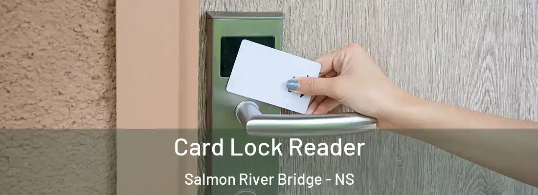 Card Lock Reader Salmon River Bridge - NS