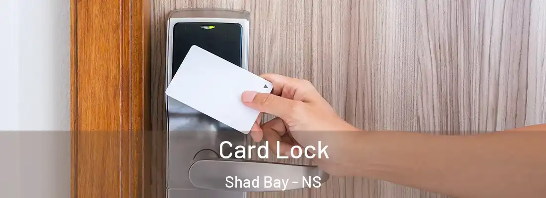  Card Lock Shad Bay - NS