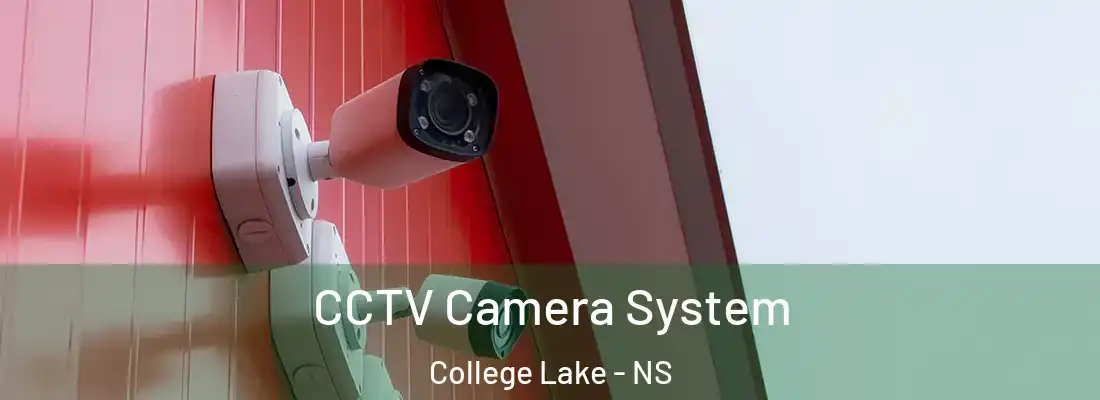  CCTV Camera System College Lake - NS