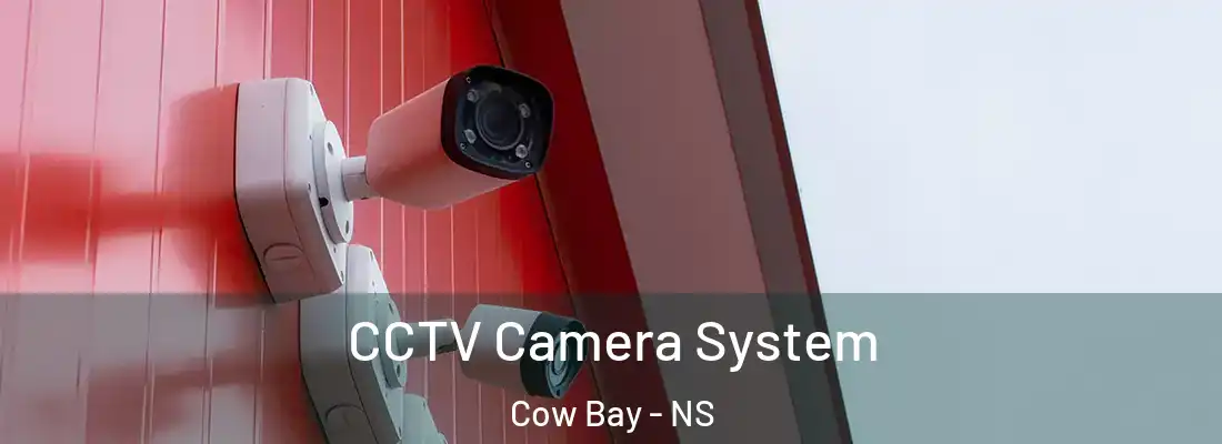 CCTV Camera System Cow Bay - NS
